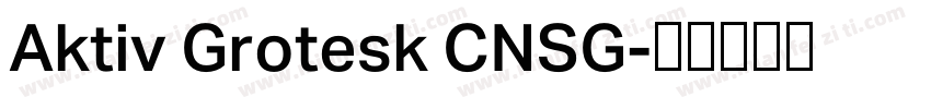 Aktiv Grotesk CNSG字体转换